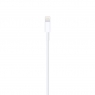 Apple Lightning to USB Cable 1m (MXLY2)