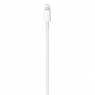 Apple USB-C to Lightning Cable 1m (MX0K2)